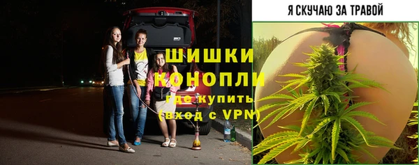 spice Беломорск