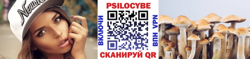 Галлюциногенные грибы мухоморы  Купить закладки  Дальнегорск 